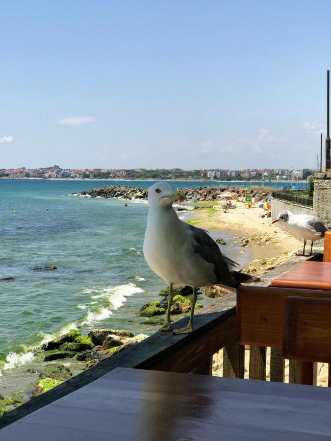 Niko'S Apartments Deluxe Nessebar Eksteriør billede